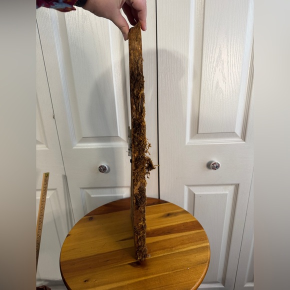 MCM wood slab with painted owl clock signed JO 1979 - Picture 5 of 9